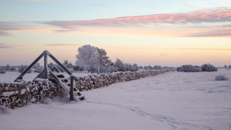 landsjul p Halltorps Gstgiveri